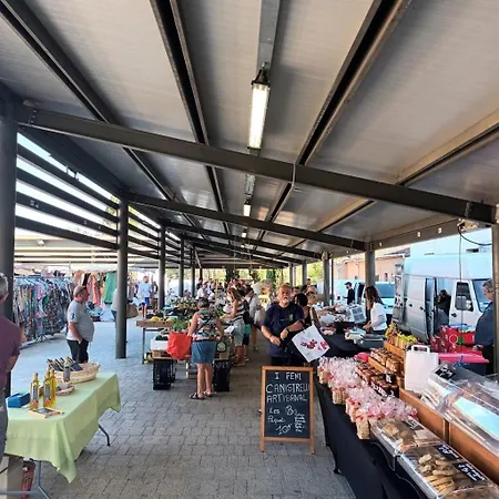 Grande Maison A 2km De La * Ventiseri